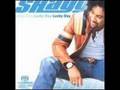 Shaggy - Leave Me Alone 