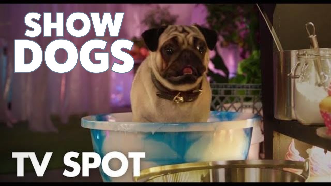 "Harier-Scarier Nick" TV Spot