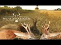Three Sucessful Deer Roebuck Hunta Impressive Kill Shots Hunting Film Ep 27