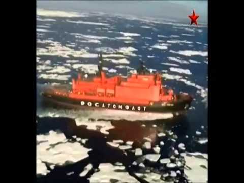 Мы вернулись в Арктику!