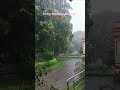 Let It Rain My Monsoon Therapy Reels Rain Monsoon Weather Loverain Therapy Shorts Karkidaka