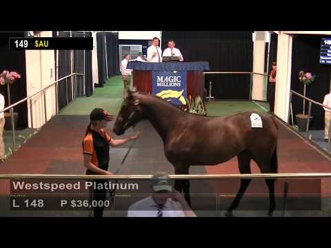2018 Perth Yearling Sale - Day 2 (Live Stream Archive)