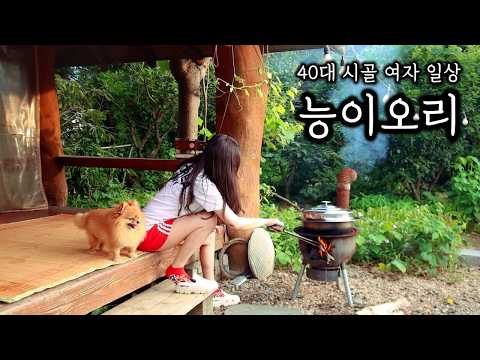 40대 시골 여자의 복날ㅣ가마솥에 능이버섯 넣고 오리백숙 끓이기ㅣ수박 수확ㅣ돼지 주물럭!