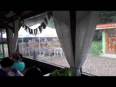 Caii din vale Betfia - Bihor