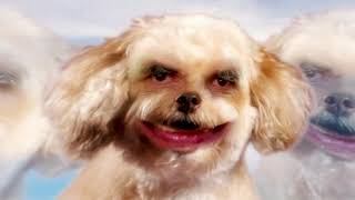 TOBACCO – “Jinmenken”