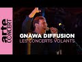 Gnawa Diffusion - Les Concerts Volants - ARTE Concert