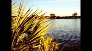 Joyce - Live at the Mojo Club (1995) [Full Length Album]