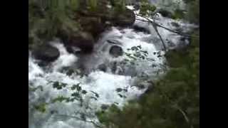 preview picture of video 'Eagle creek to Tunnel Falls hike'