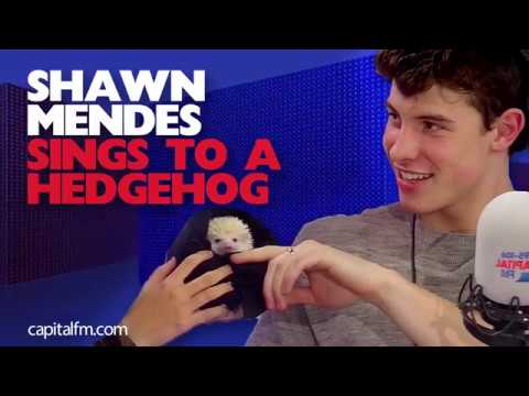 Shawn Mendes (tries to) Sing A Hedgehog To Sleep