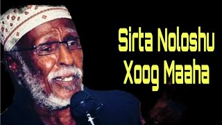 maansada sirta nolosha abwaan hadraawi