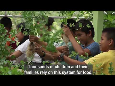 Restore Food Source for Indigenous Community-Peru