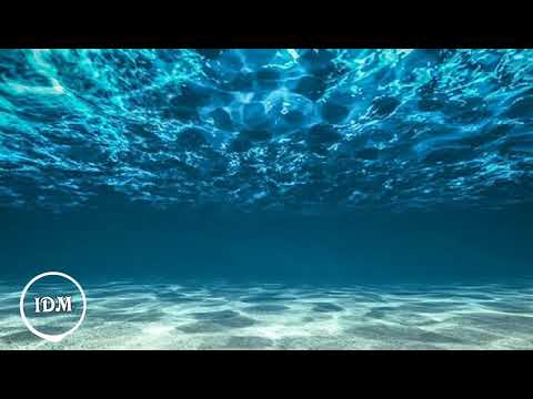 Whatever You Do ♧ Mindme feat. Dominique Calvillo (PoP) Lyrics ⬇️