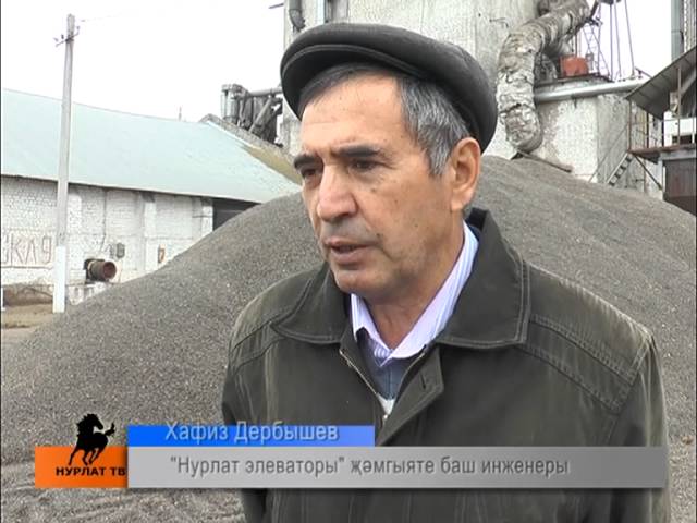 Бөртектән соң,көнбагыш