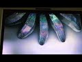 Closing To Avatar 2010 Blu Ray