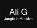 Ali G- Jungle is Massive 