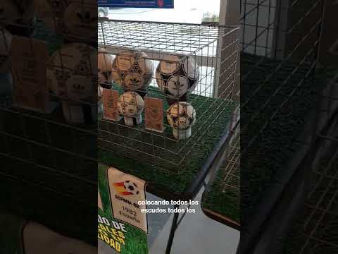 Exposición de Pelotas en Bell ville Córdoba Argentina