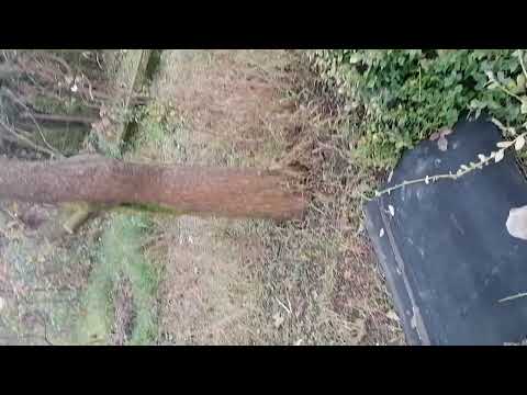 Casa de vânzare Alba Iulia 125000 Euro