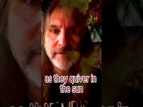 Dark Night #khalilgibran #medicine #spiritualcoach #shaman #originalmusic #metamorphosis  #coach