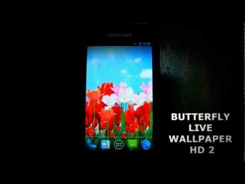 Butterfly Live Wallpaper HD 2 Video