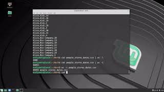 6. Basics of Linux Shell: pipeline and pattern matching using grep