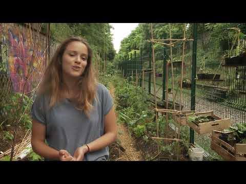 La ferme Urbaine RECyclerie Tendances B2