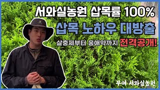 나무박사 주민창의 삽목 비결 대방출!!