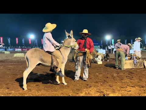 Santiago, fiesta de la tradition Misionera