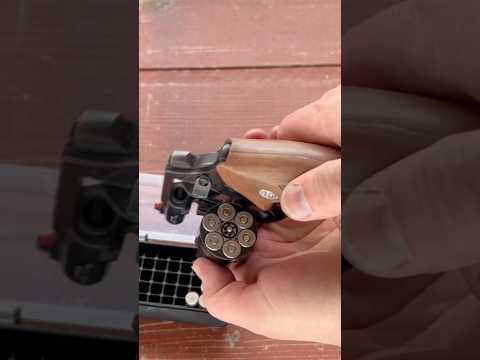 Charter Arms Police Bulldog, .38 Special 6 shot revolver. #shorts #charterarms #wheelgun