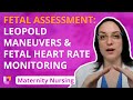 Fetal Assessment: Leopold Maneuvers, Fetal Heart Rate Monitoring - Maternity Nursing | @LevelUpRN