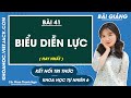 Biểu diễn lực | Khoa học tự nhiên 6 Kết nối tri thức | Bài 41