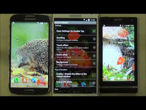 Autumn Wallpaper Video