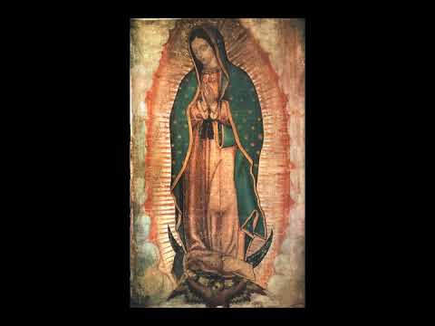 Datos Interesantes Sobre La Virgen De Guadalupe- Sangre y Agua