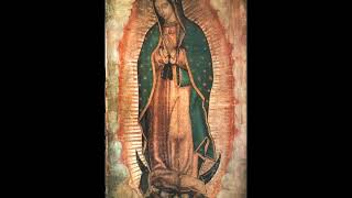 Datos Interesantes Sobre La Virgen De Guadalupe- Sangre y Agua