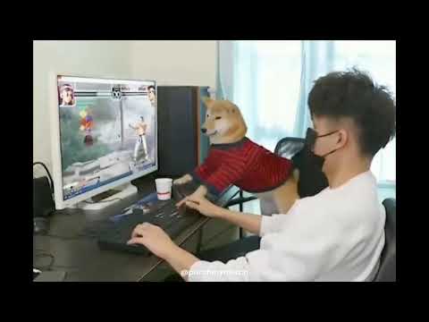 Dog Rage Quits?! Shiba plays video games against human | #Shorts #RAGEQUIT