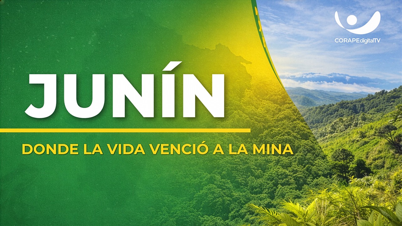 The frog that stopped mining: Resistance in Intag