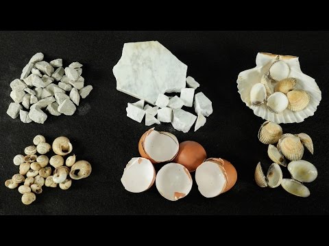Così come curare leczema e una fotografia Ricupero di unghie da eczema