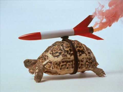 Krafto, Crux - Kornjaca Je Bila Brza Nego Zeka