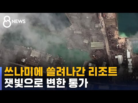 아이콘