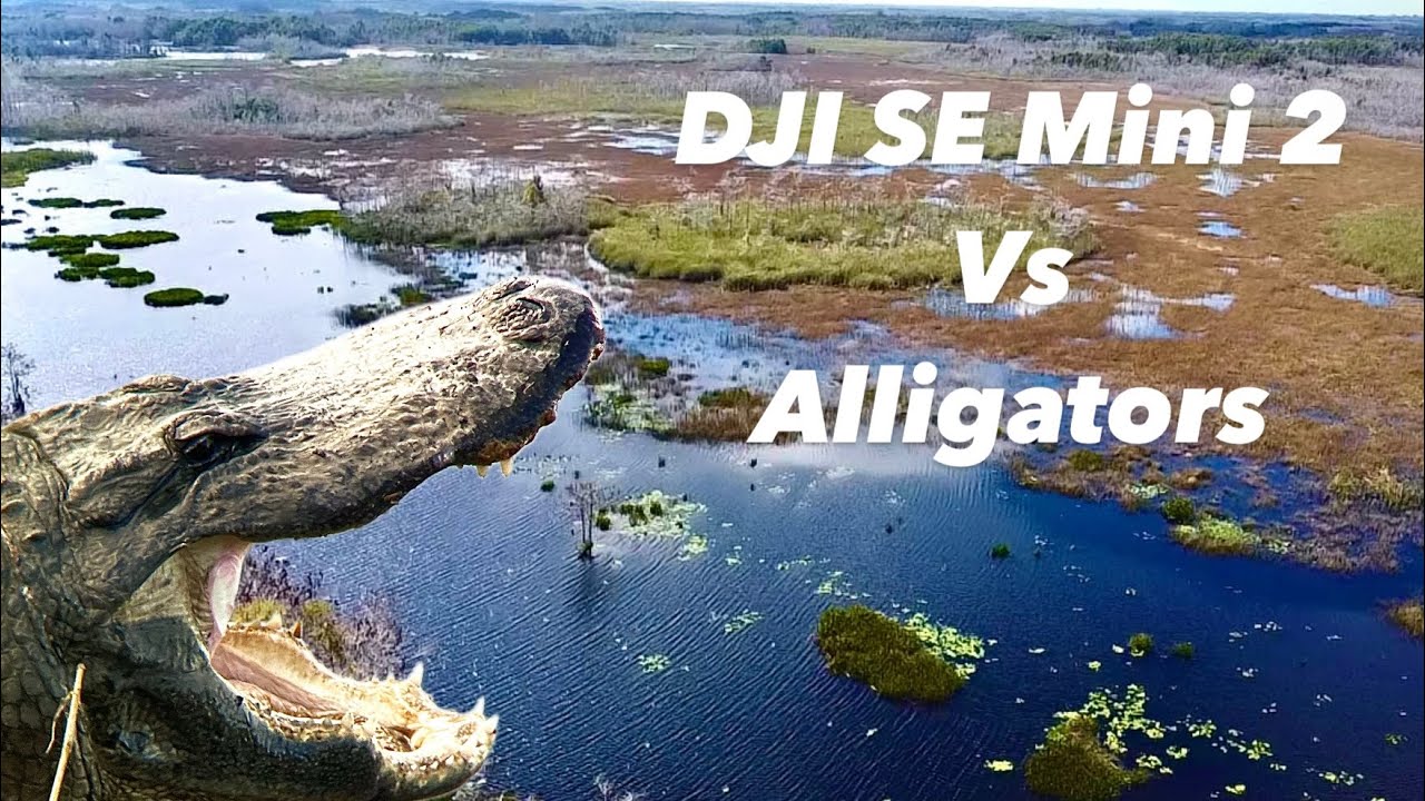 Epic Everglades Drone Footage!!!!