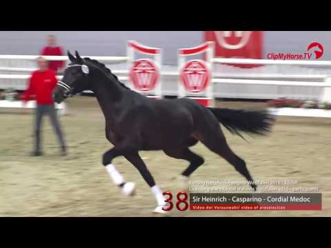 38  Sir Heinrich   Casparino   Cordial Medoc