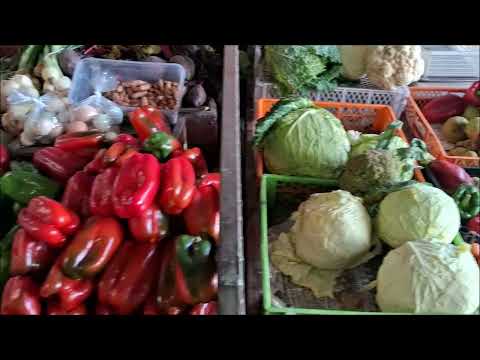 Visitamos el Mercado de San Javier, Maule, Chile