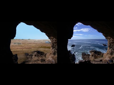 Episode 49: Middle Stone Age fauna in the Cape