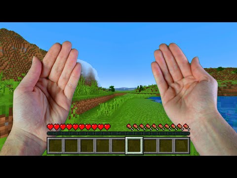 Hvis Minecraft var virkeligheden..