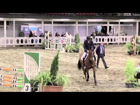 Vivendi Time CSI*** 4YR Old  Millstreet Discovery Qualifier 2015
