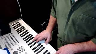 You Little Fool by Elvis Costello