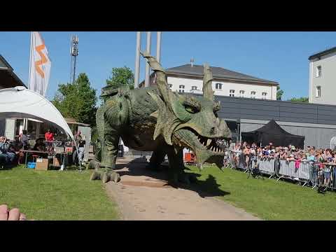 Drachen von Furth im Wald