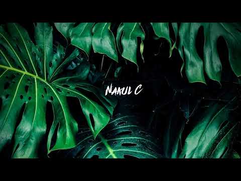 Nakul C - Onyx (Duenia)