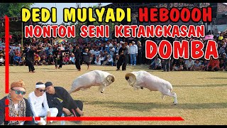 Download lagu DEDI MULYADI HEBOH NONTON SENI KETANGKASAN DOMBA‼️HPDKI MAJALENGKA mp3