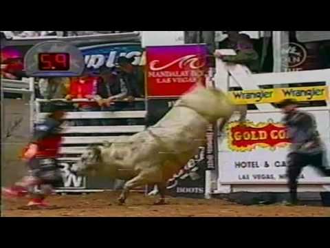 PBR 2004: Super Dave can't hang on to Rattler