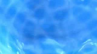 Garden In My Room performed by Brainbridge Lyrics